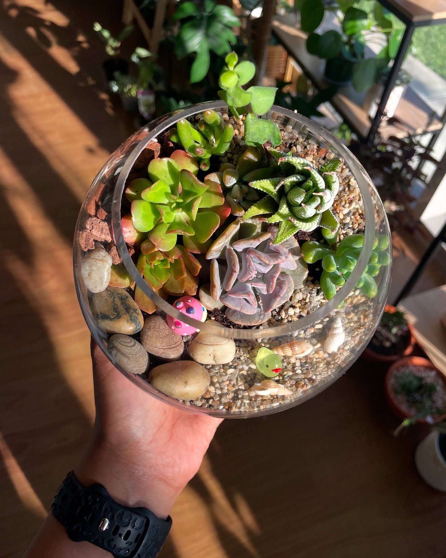 Succulent Terrarium Workshop