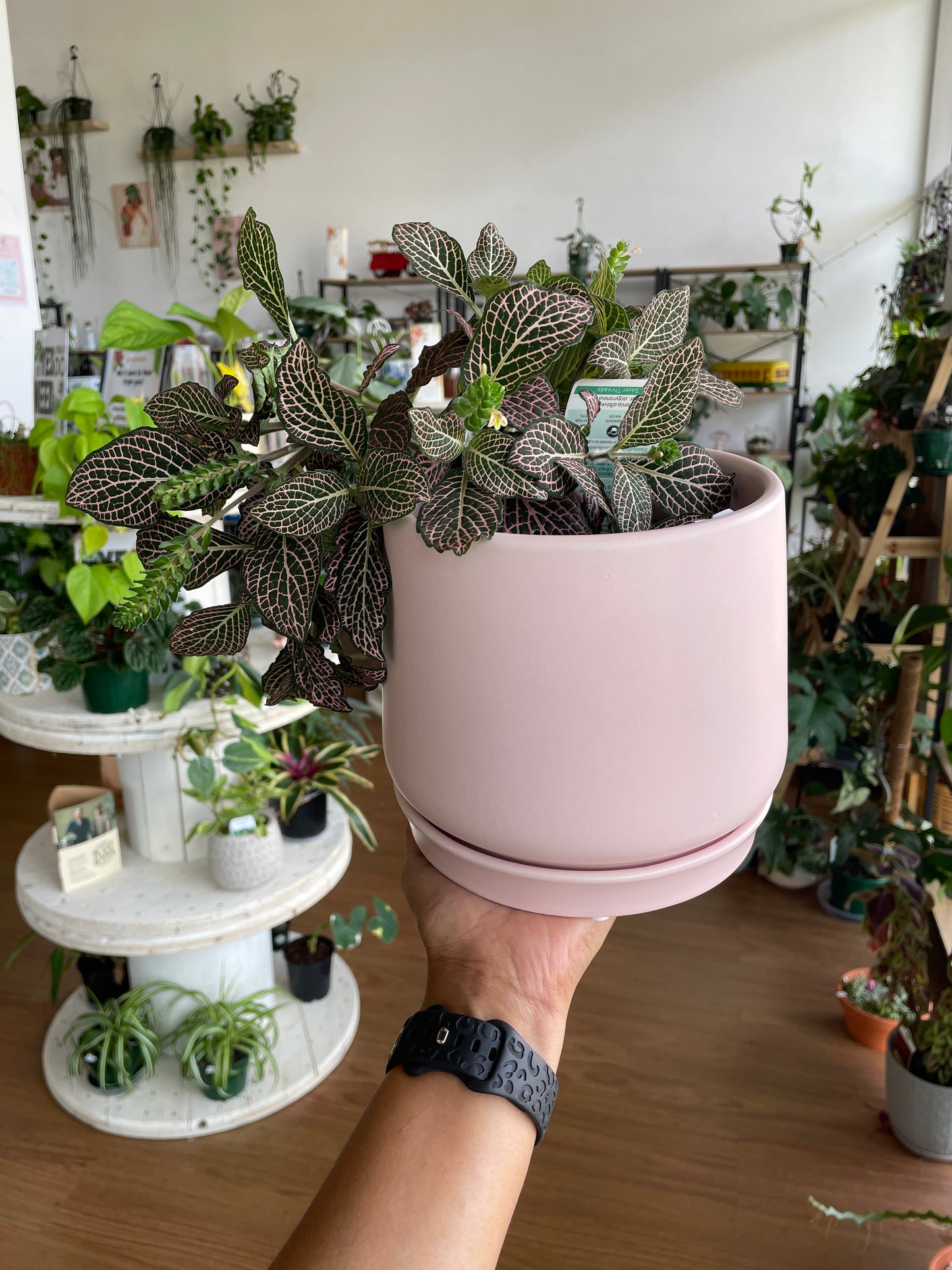 Pink Ceramic Pot with Saucer