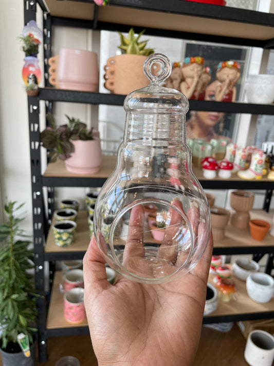 Hanging Terrarium or Airplants Glass Vase