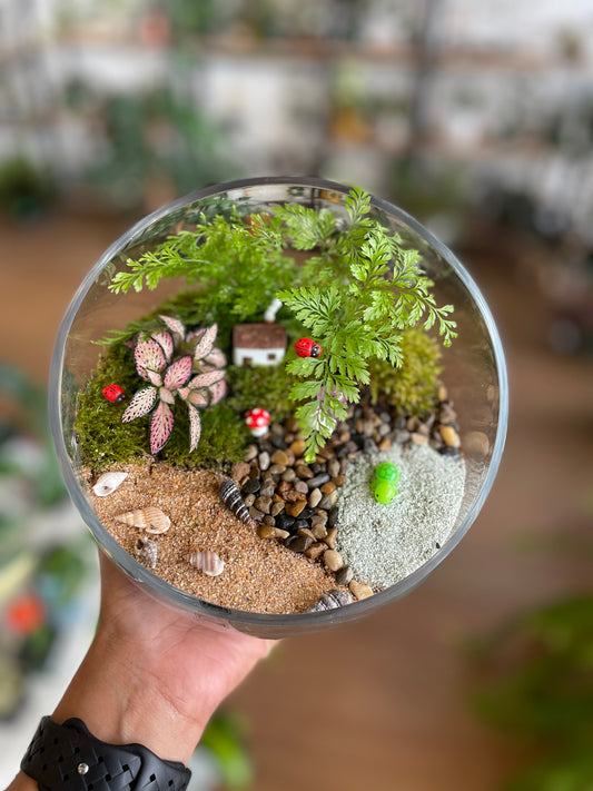 Sunday Terrarium Workshop