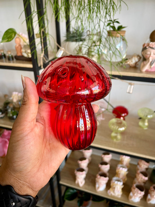 Mushroom Propagating Glass Vase - Red