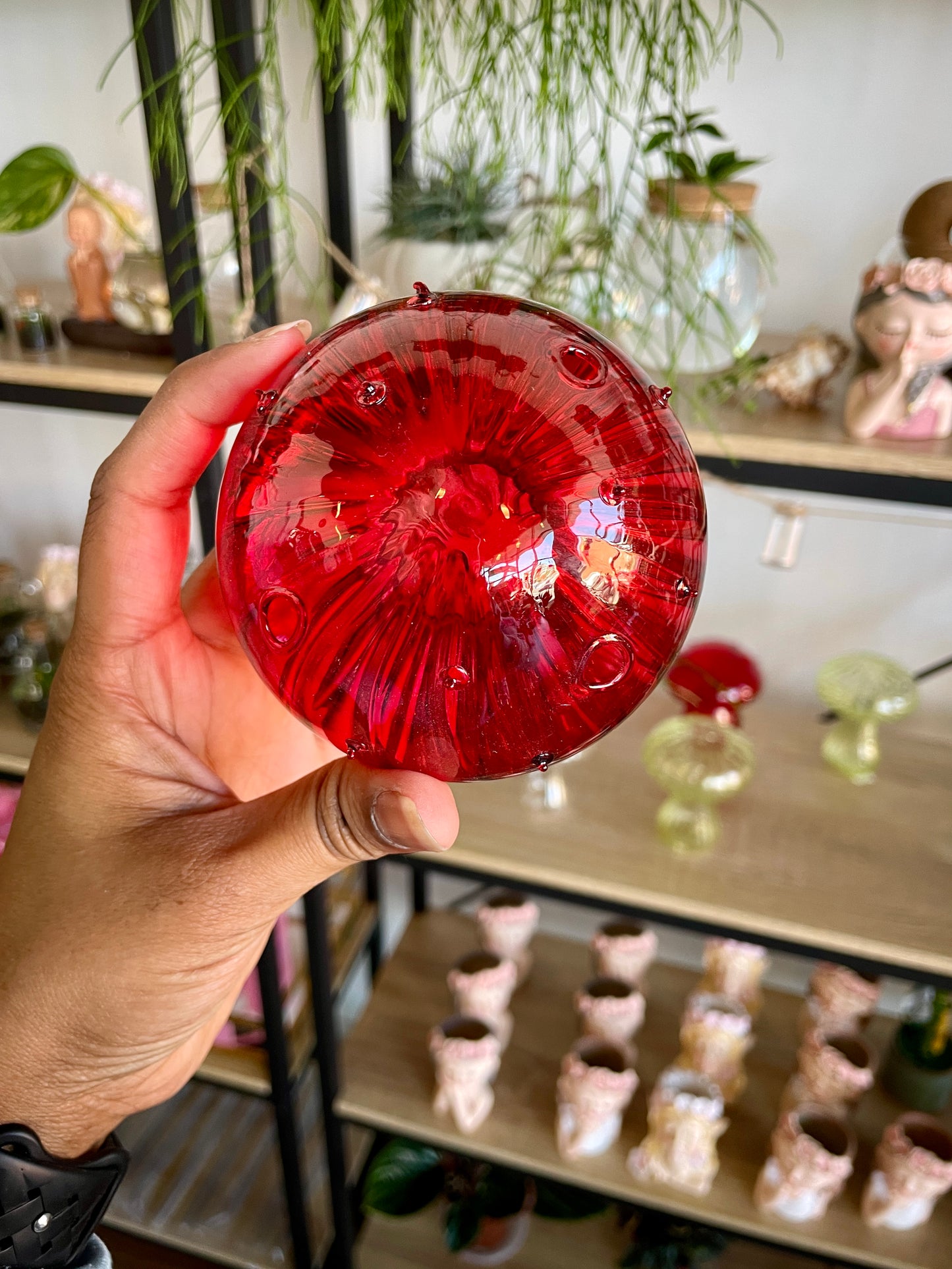 Mushroom Propagating Glass Vase - Red