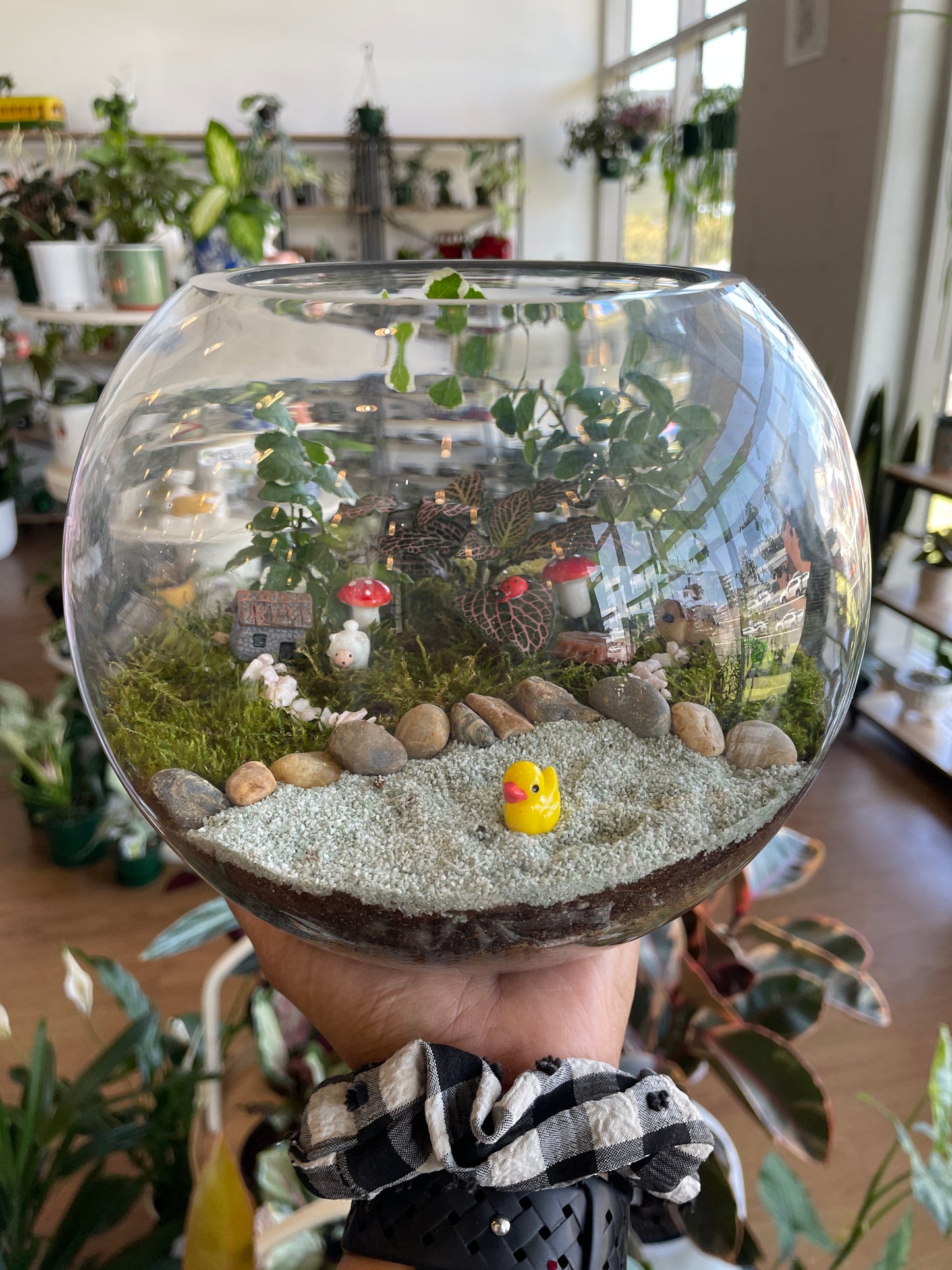 Personalized Terrarium Workshops