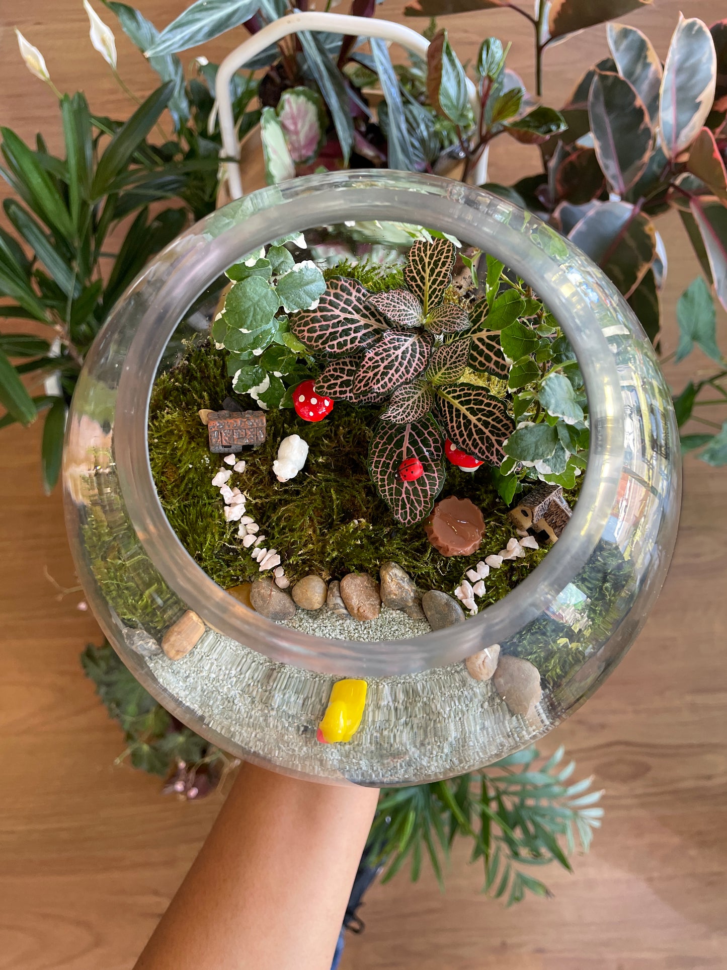 Personalized Terrarium Workshops