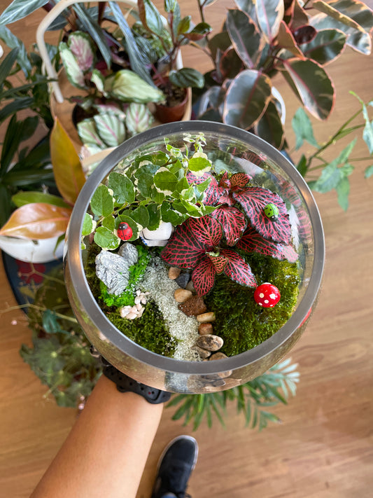 Personalized Terrarium Workshops