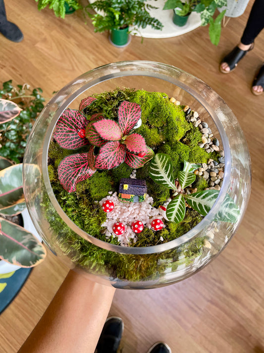 Kids Terrarium Workshop