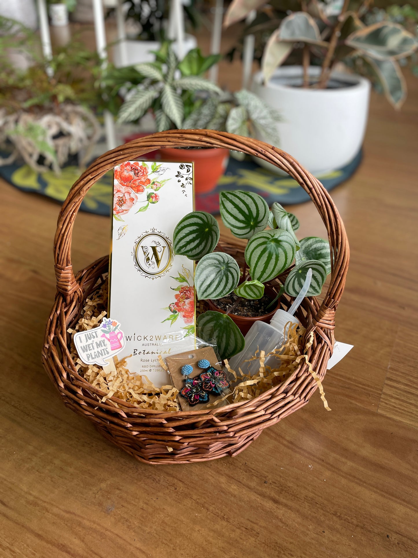 Christmas Gift Basket- Plant Lovers