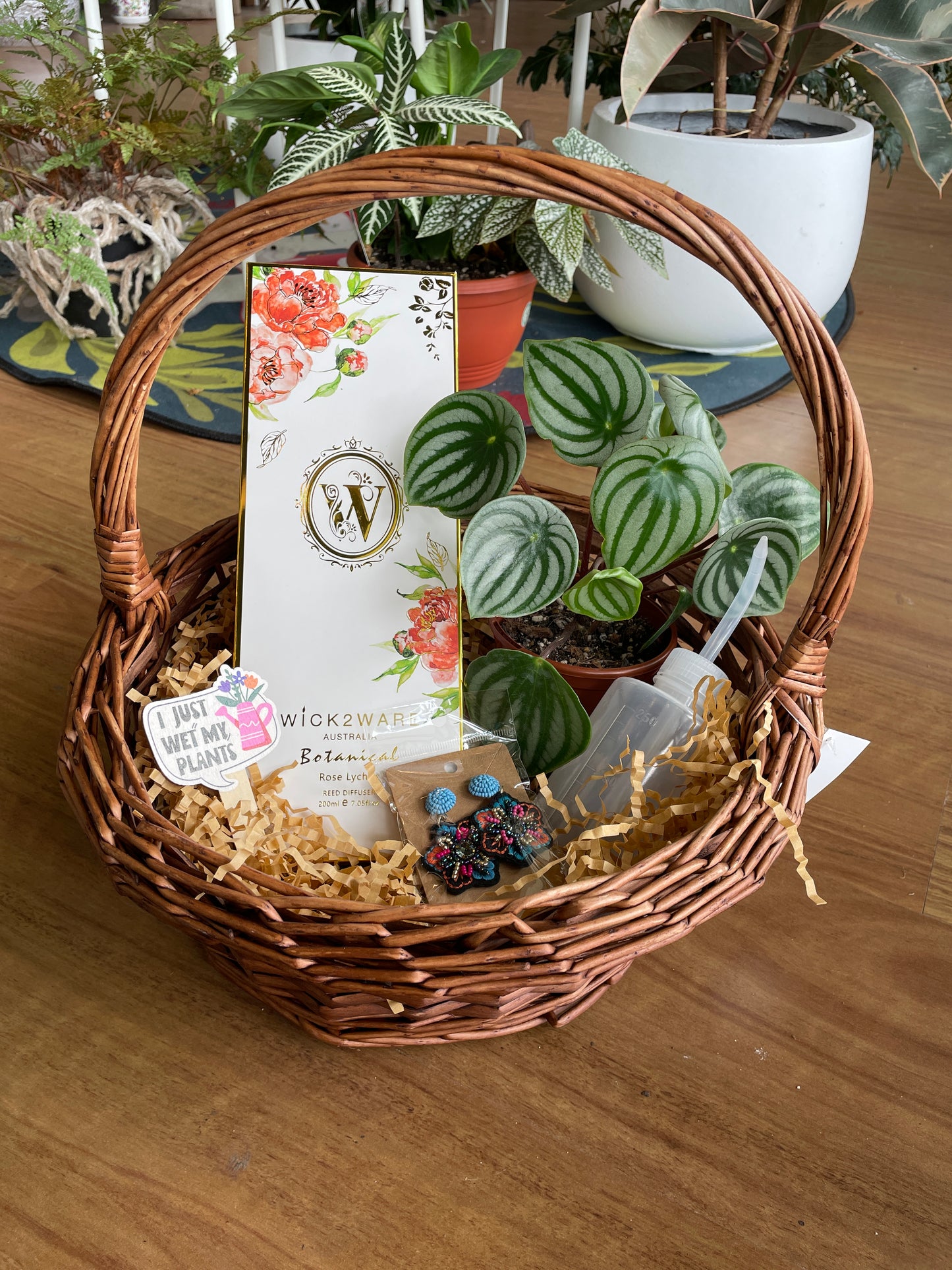 Christmas Gift Basket- Plant Lovers