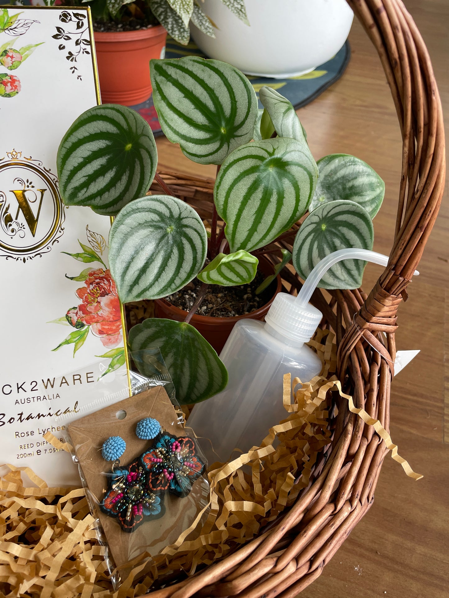 Christmas Gift Basket- Plant Lovers