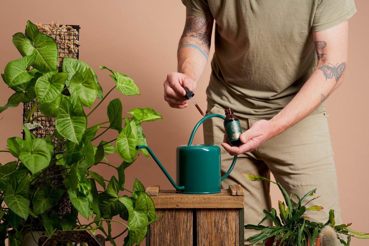 Indoor Plant Food