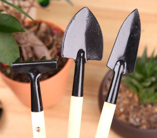 spade shovel for succulents